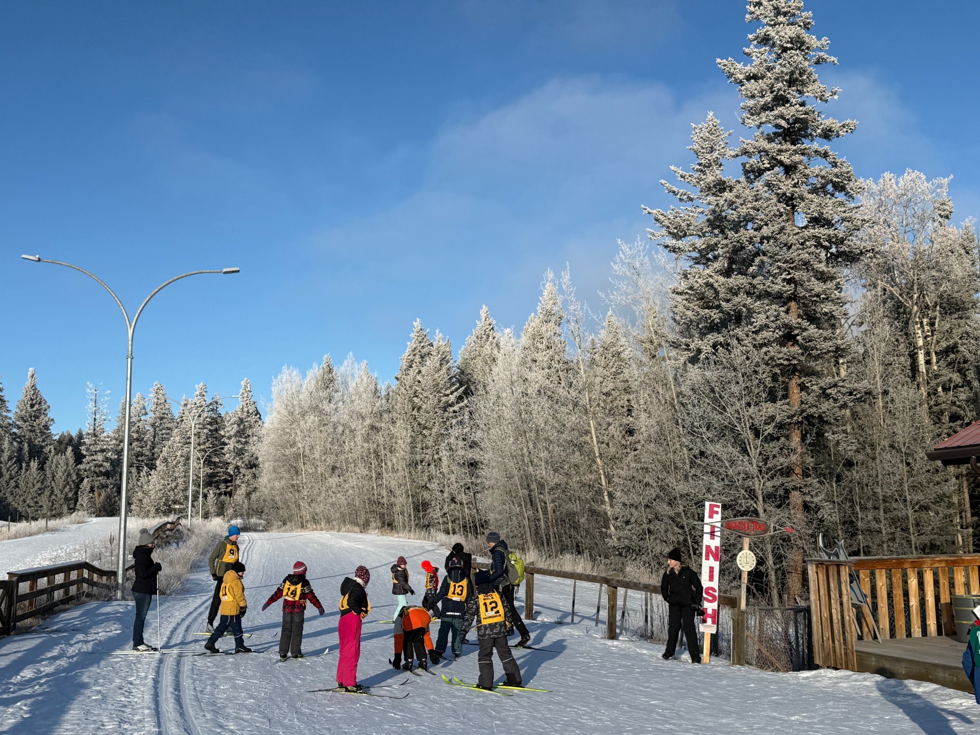 Skiing 1 Murray Helmer