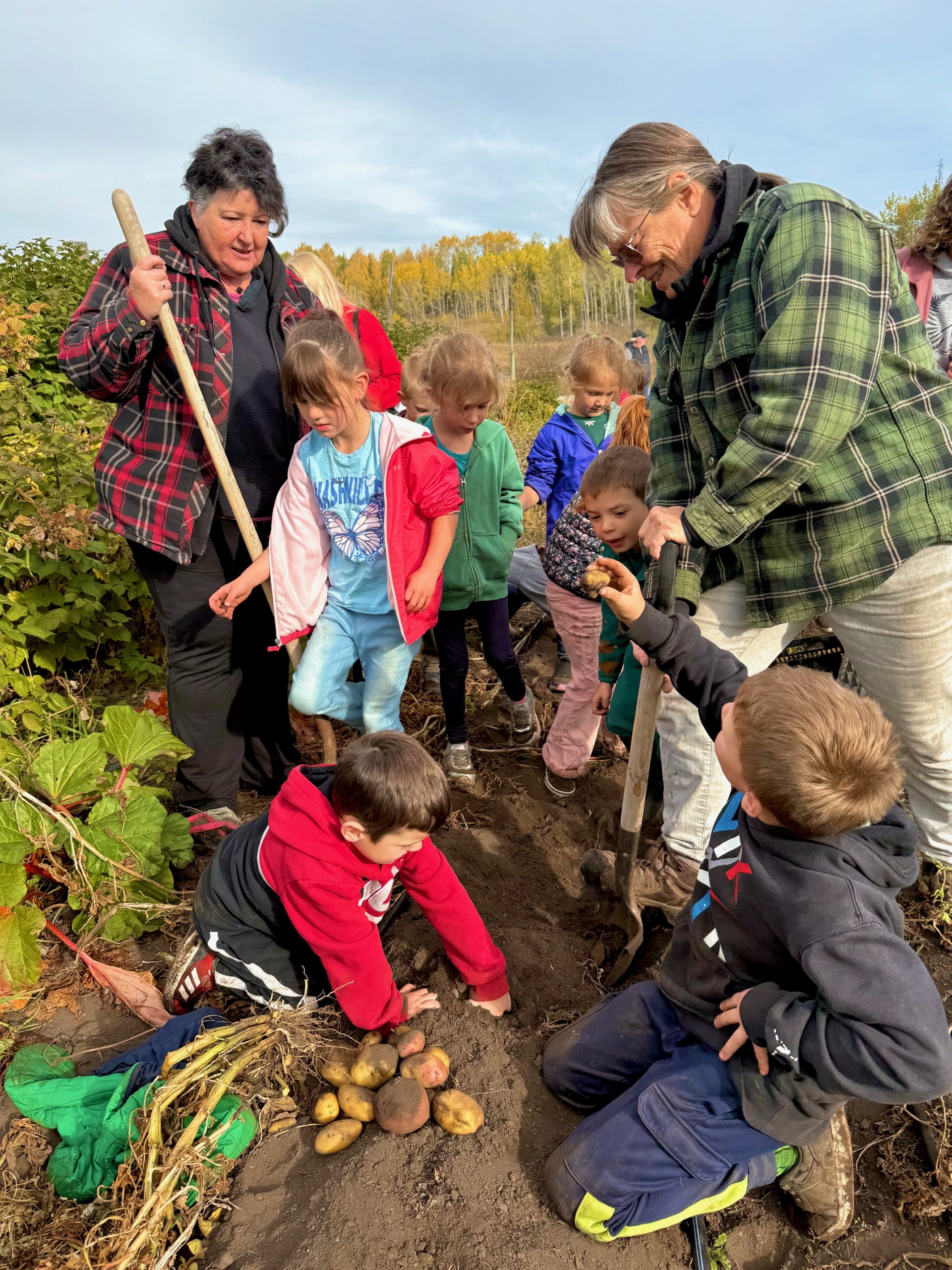 Farm 3 Murray Helmer